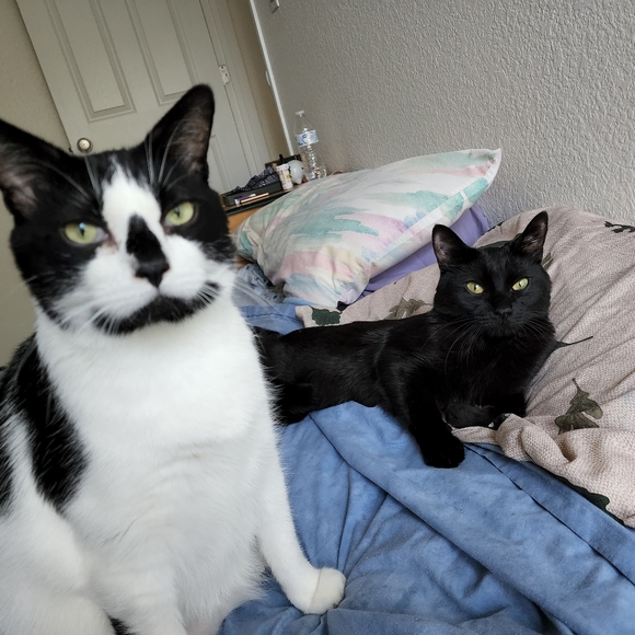 Clothing - Picture 6 of 12